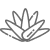 Agave